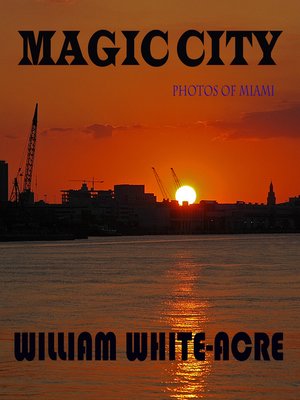 cover image of Magic City